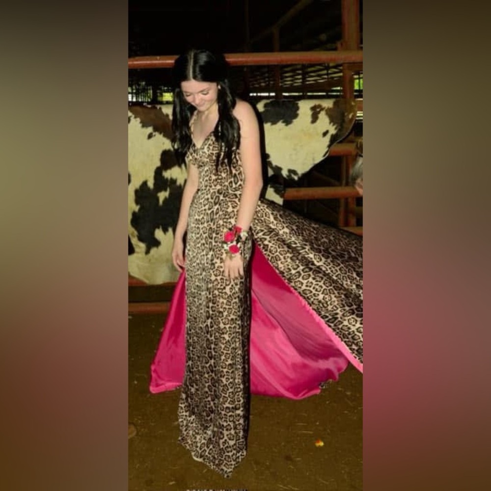 Blush Cheetah & Pink Prom Dress